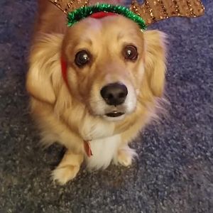 Meet your Posher, Angie